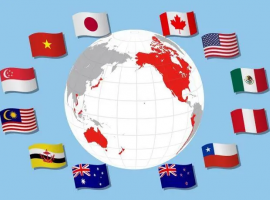 標(biāo)書(shū)翻譯